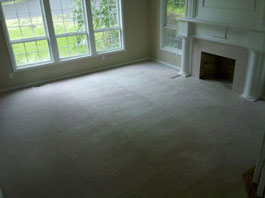 Mold Removal Portland, OR - After Mold Removal picture of bedroom carpets and floor results