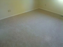 Mold Removal Portland, OR - After Mold Removal picture of bedroom carpets and walls results