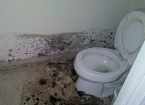 PureSpace helps by working with insurance on mold remediation, water damage, and other restoration projects