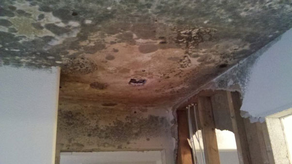 Mold Removal Portland, OR - Before mold removal in house ceiling and walls